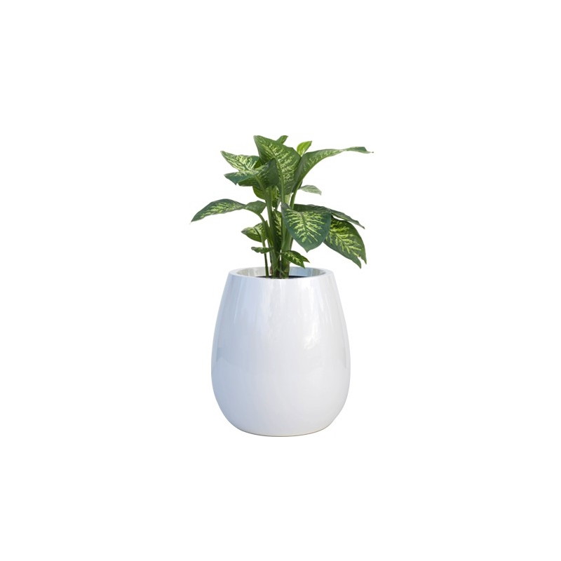Donica Silba M 60x60 Kama Flower Donica Silba M 60x60 Kama Flower