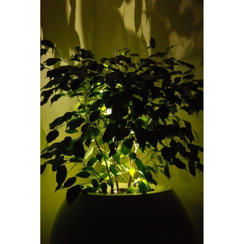 Donica Silba M 60x60 Kama Flower Donica Silba M 60x60 Kama Flower