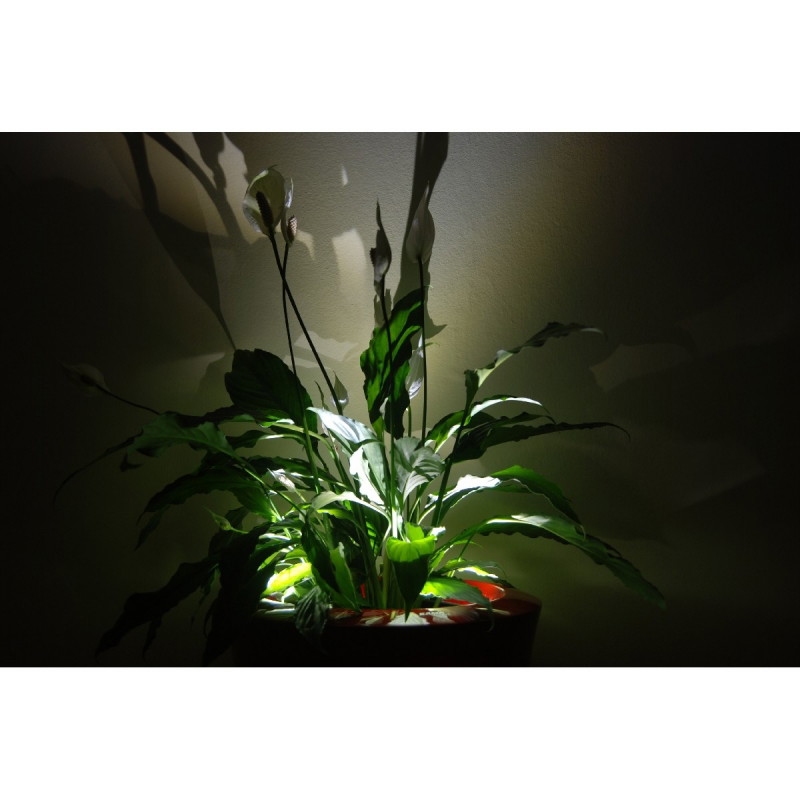 Donica Silba M 60x60 Kama Flower Donica Silba M 60x60 Kama Flower