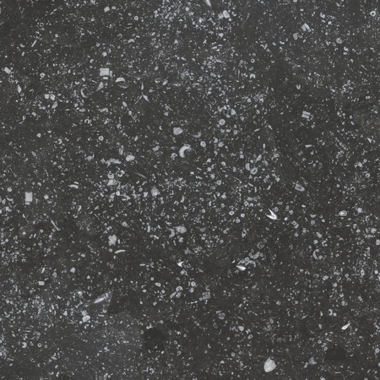 CORALSTONE Black 20x20 cm Płytka gresowa EQUIPE