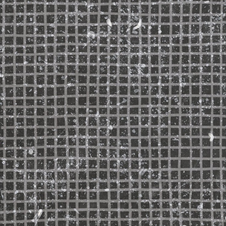 CORALSTONE Gamut Black 20x20 cm Płytka gresowa EQUIPE