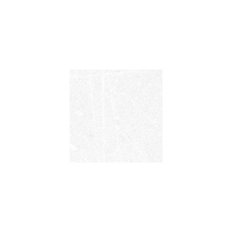 Seine Corneille-R Blanco 15x15cm VIVES płytka gresowa