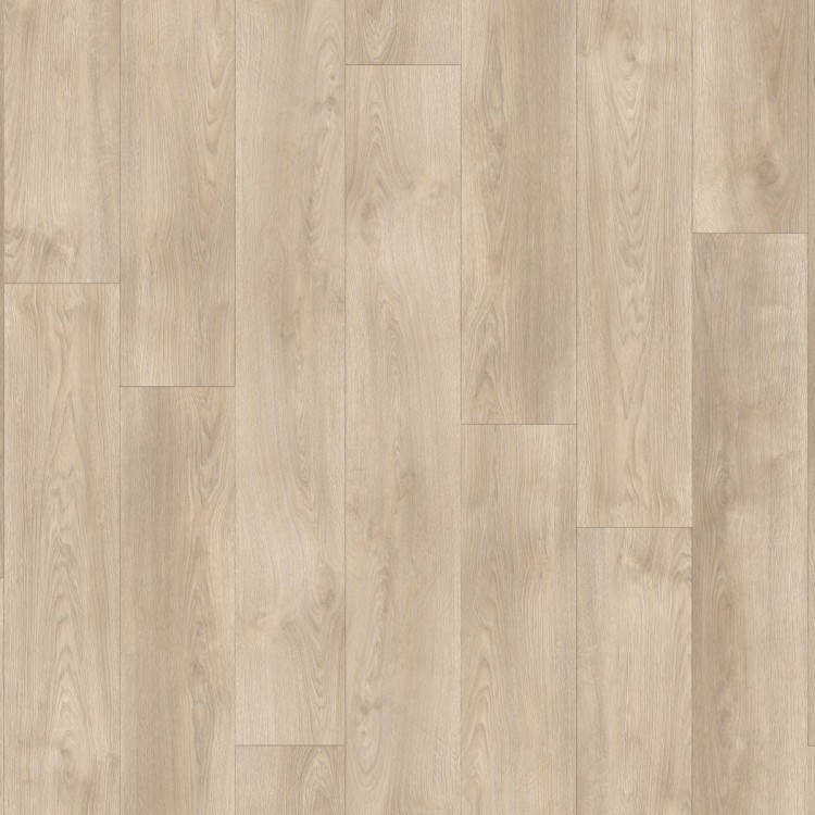 Layred 55 Click Sherman Oak 22221BP MODULEO panel podłogowy