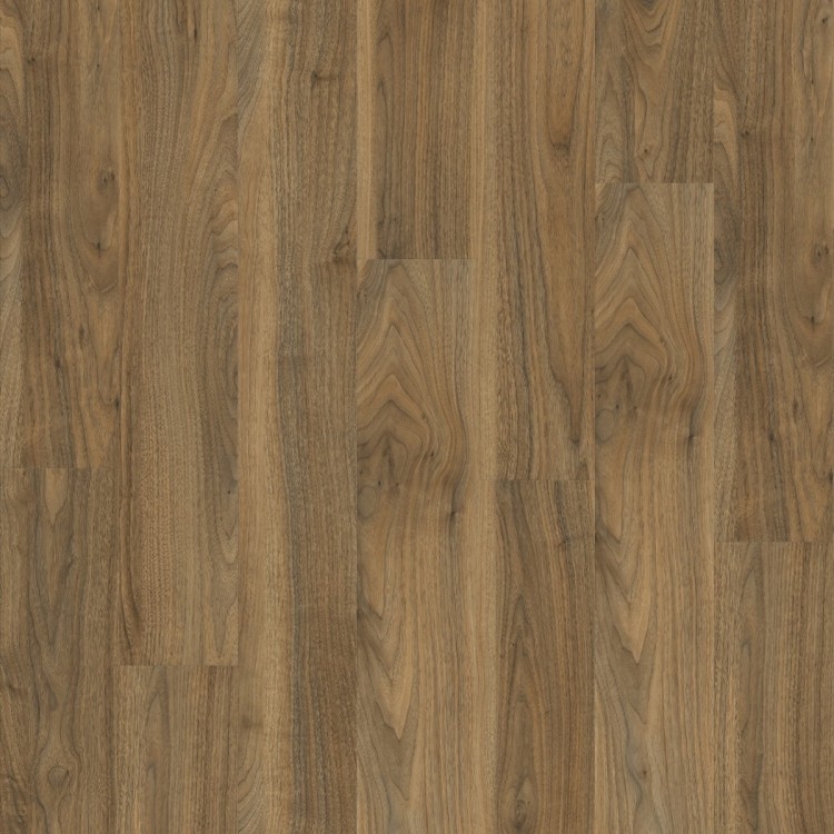 Roots 55 Dryback English Walnut 20565 MODULEO panel podłogowy