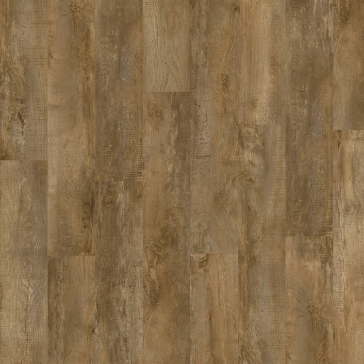 Roots 40 Dryback Country Oak 24842 MODULEO panel podłogowy